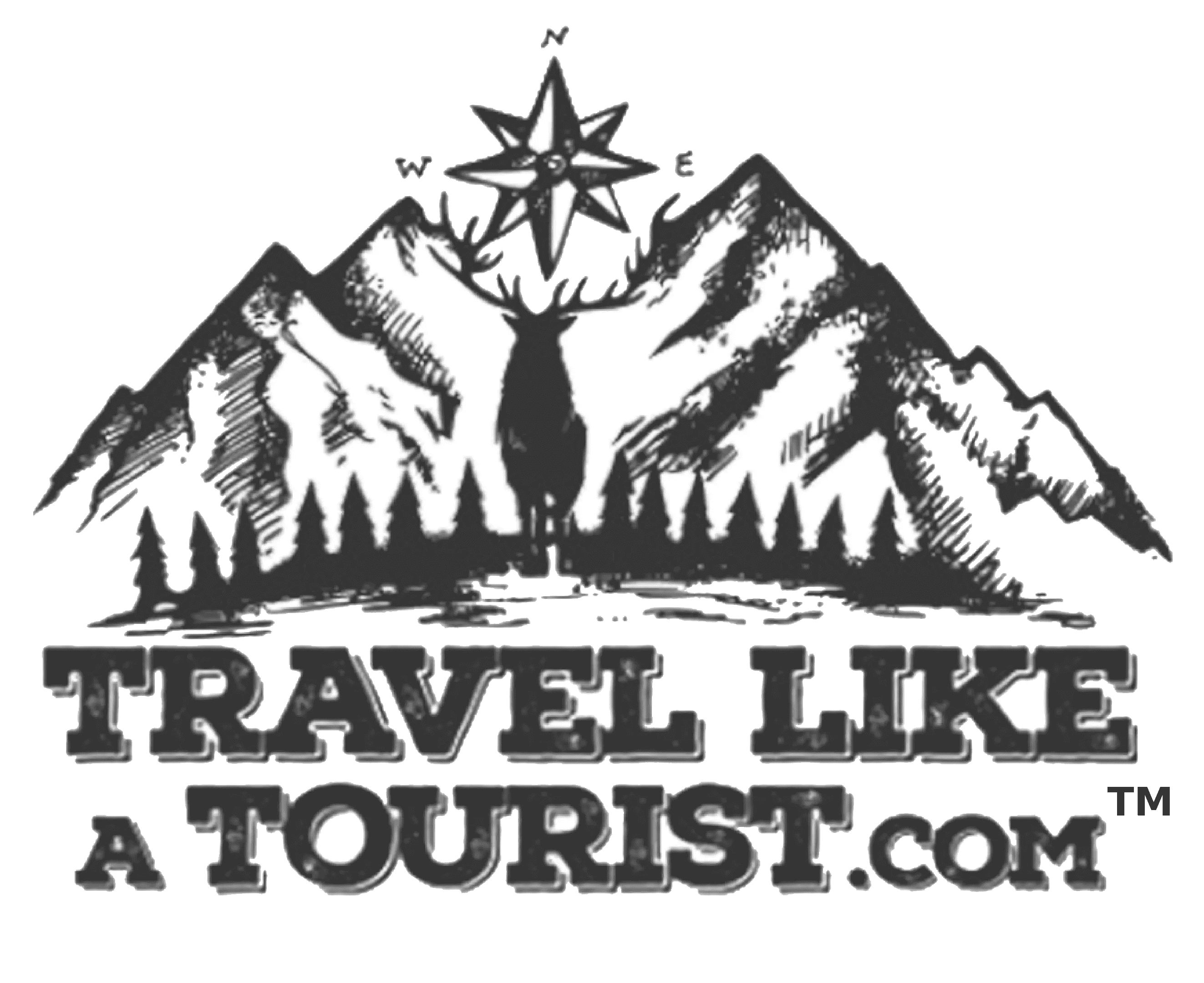 Logo with mountains, a compass, and travel-themed text.