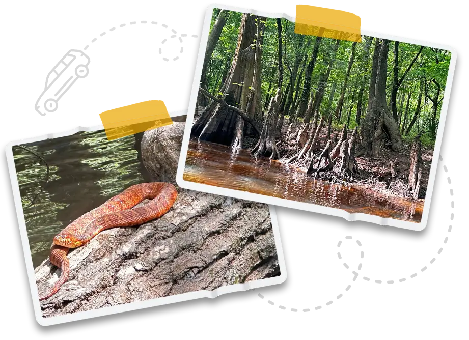 Travel Like A Tourist