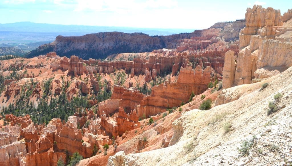 Lighter layers of rock lack mineral impurities