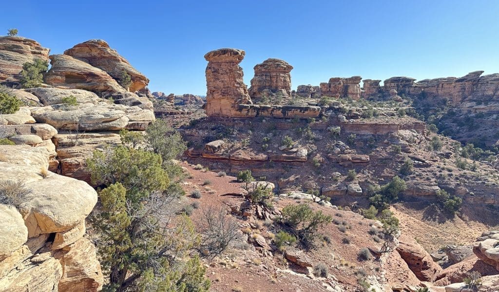 Big Spring Canyon Overlook in Canyonlands, Needles District