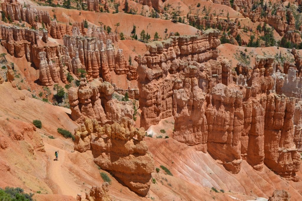 Bryce Canyon hoodoos in the summertime