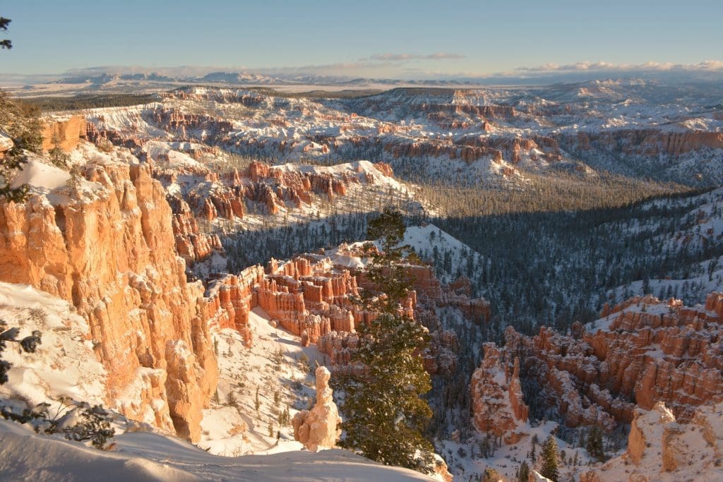 Bryce Point in the early morning sun