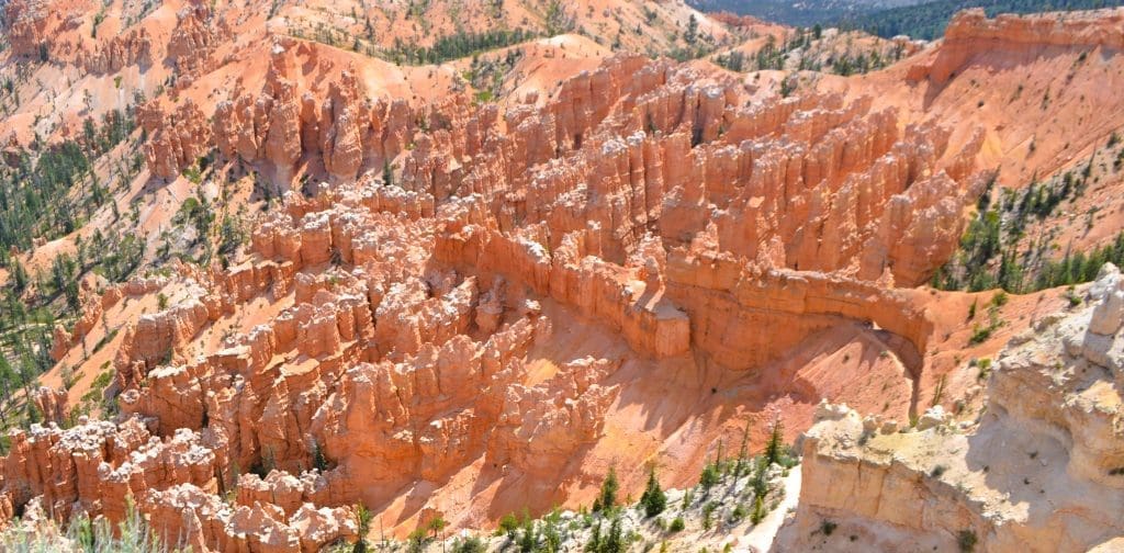 Bryce Canyon in the summer