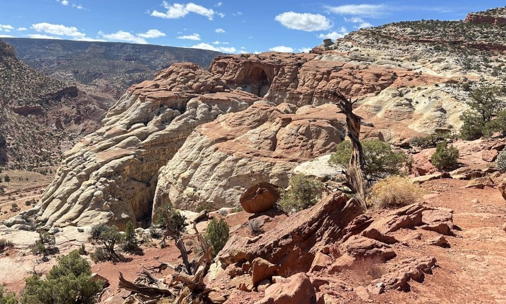 Cassidy Arch in the distance looks like a cave