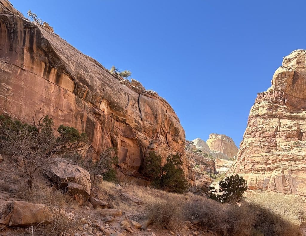 Golden Throne peeks through a window on Capitol Gorge drive