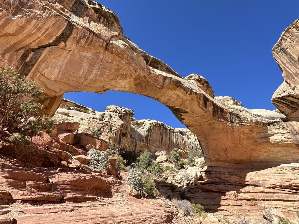 Hickman Bridge, at Capitol Reef National Park, looking west