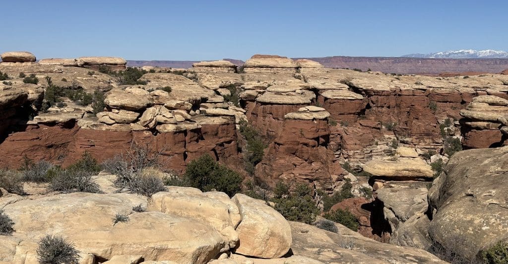 More mushroom rock formations along Elephant Hill Trail