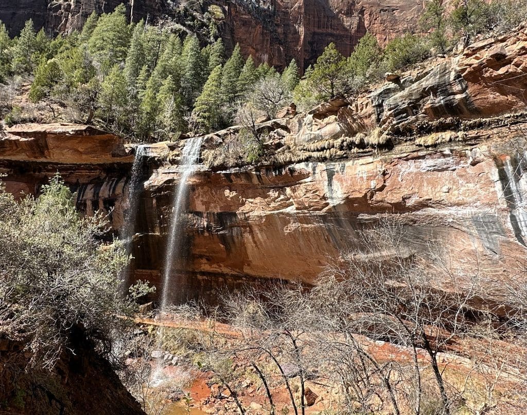 Twin falls on the Emerald Pools Trail in Zion National Park