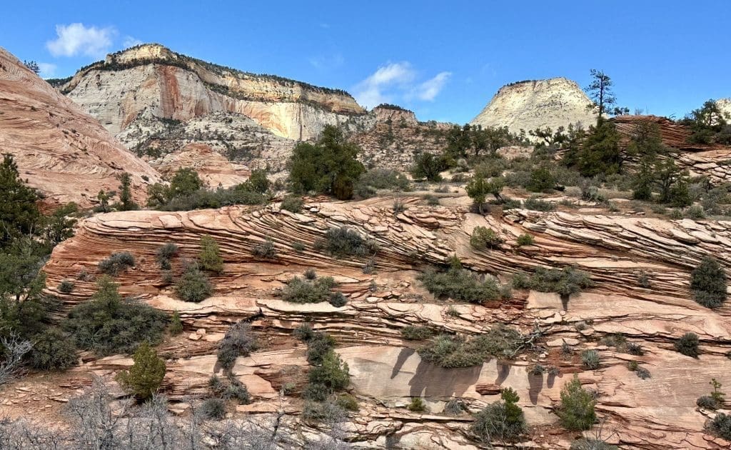 East side of Zion National Park on Zion-Mount Carmel Highway