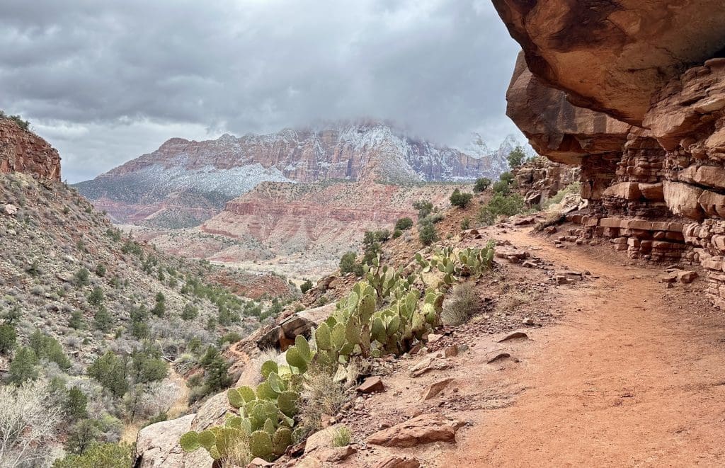 Hiking on the Watchman Trail in Zion National Park