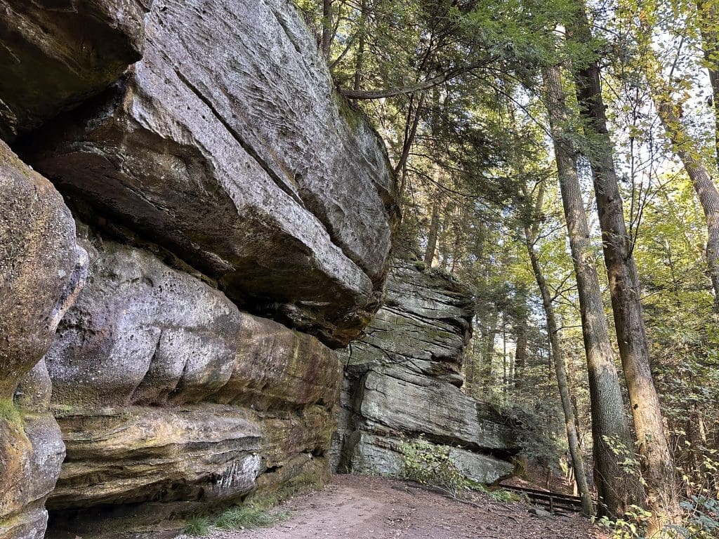 A rocky cliffside with a forest path beneath towering trees.
