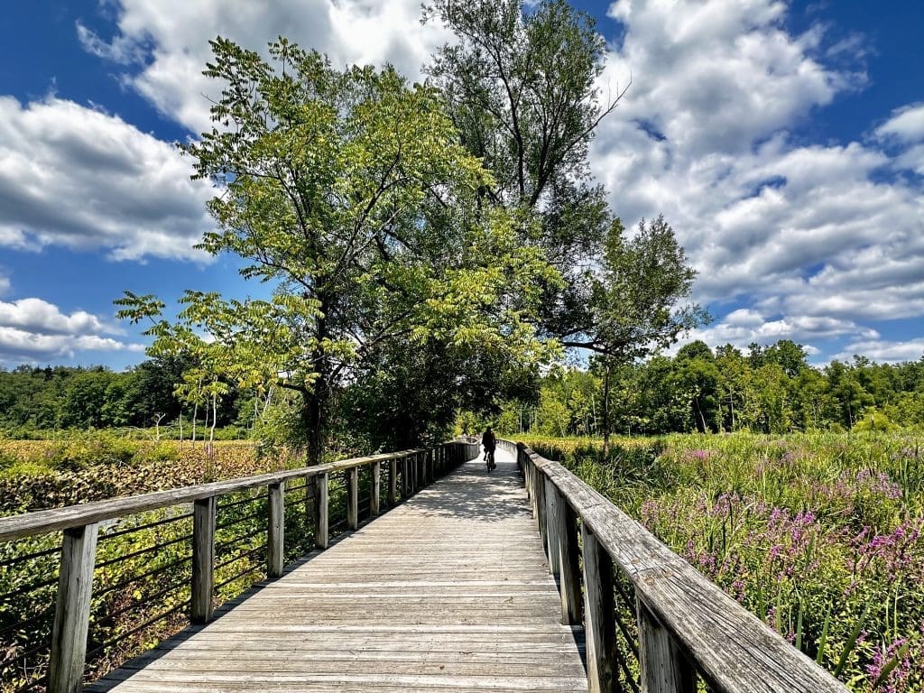 Beautiful summer walk on the boardwalk through the Beaver Marsh in Cuyahoga Valley NP