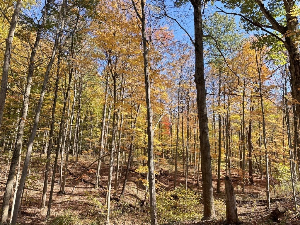 Ledges Trail in the autumn