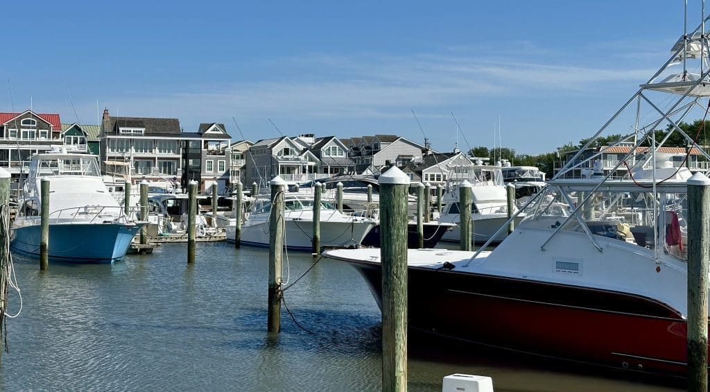 Cape May Harbor