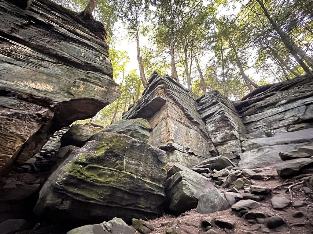 Ancient rock formation with a carved stone plaque amid forest trees.