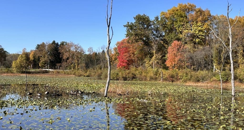 Beaver Marsh in Cuyahoga Valley NP in mid-October