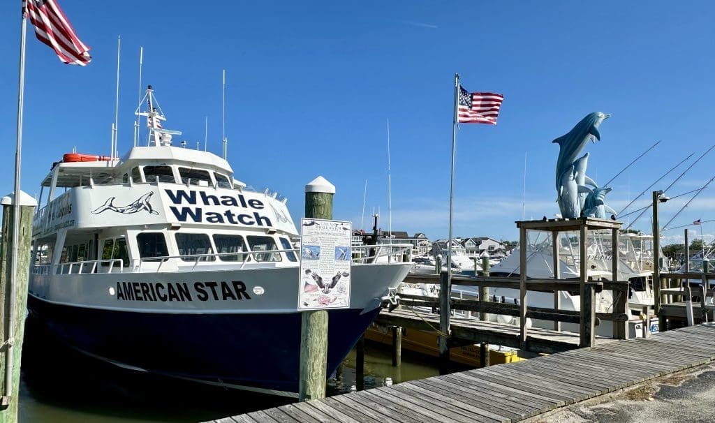 Cape May Whale Watch & Research Center cruises