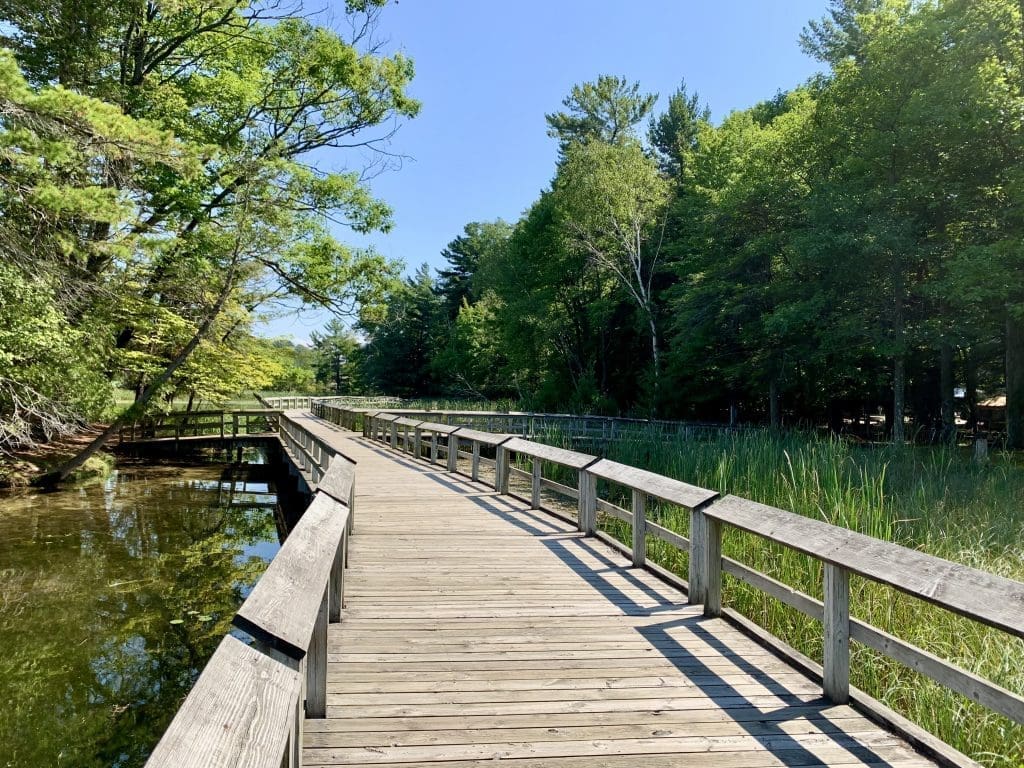 Boardwalk between Lost Lake and Beechwood Campground in Ludington State Park