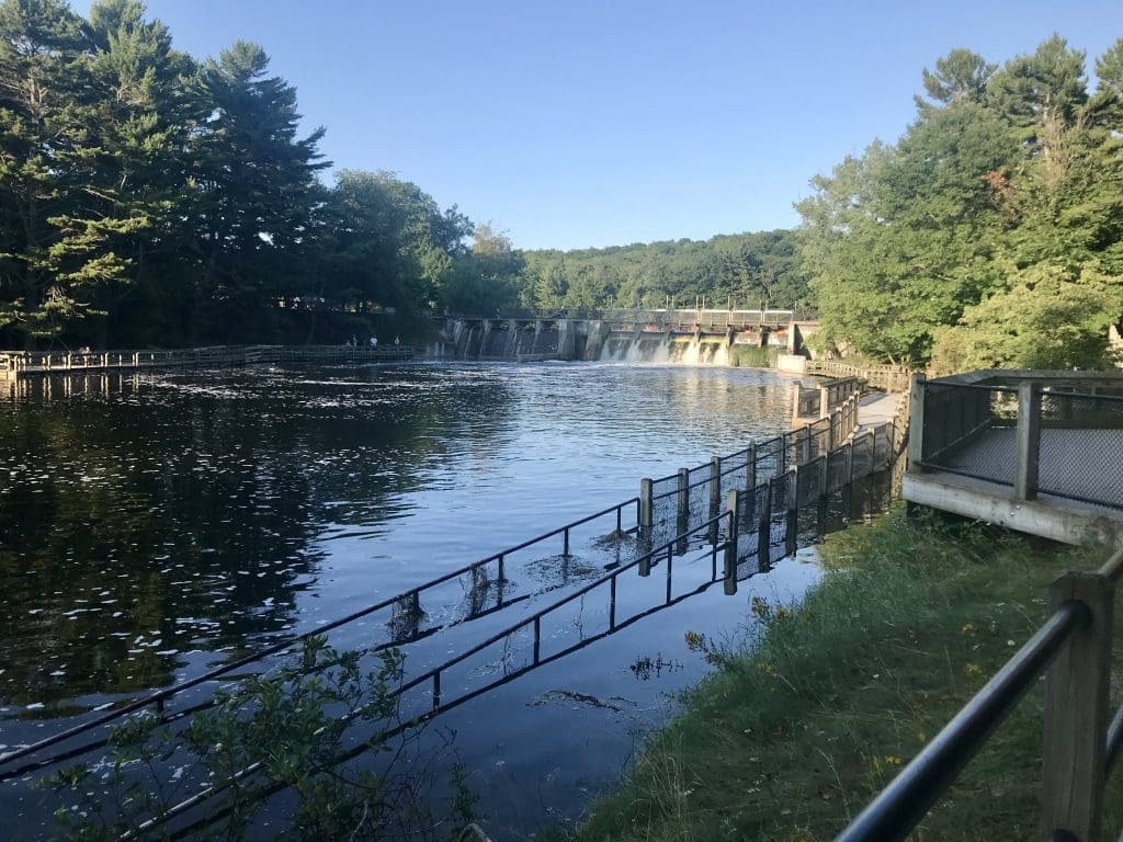 Hamlin Dam area, in Ludington State Park, is great fishing spot