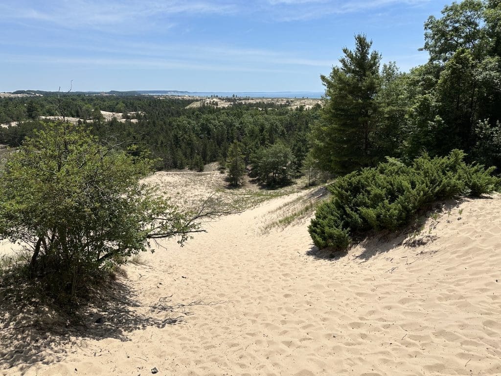 Top of the dunes from the Skyline Trail at Ludington State Park
