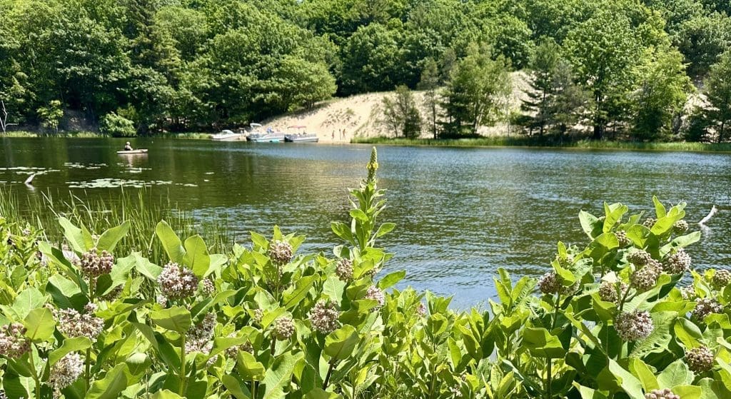 Upstream from the dam, pontoons ride on Lake Hamlin and stop at beaches along the coast