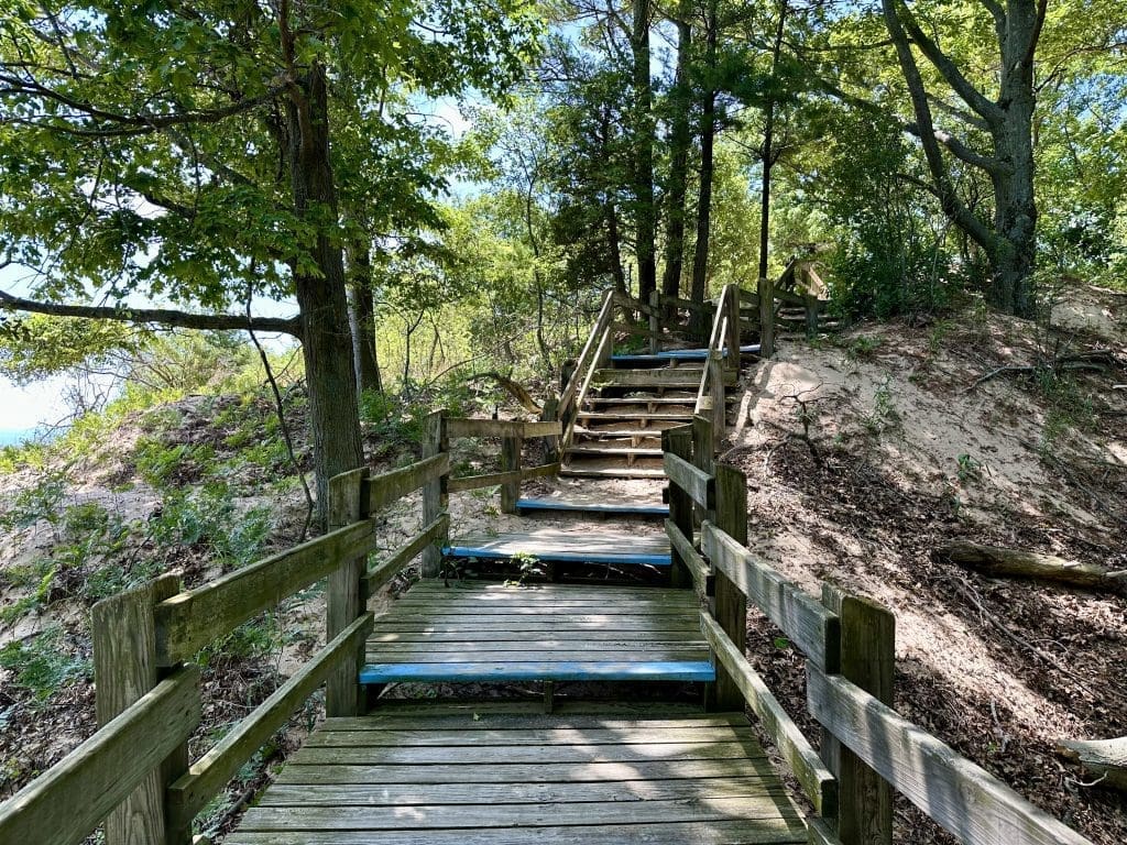 Pick up stairs to Skyline Trail from Sable River Trail